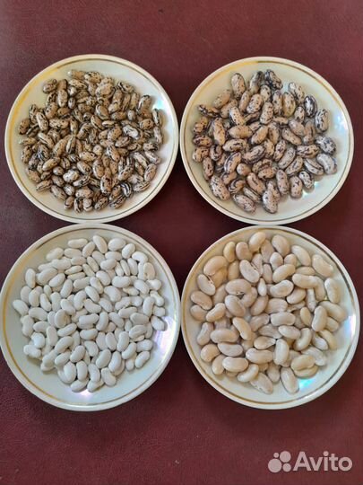 Рассада перца,томатов,семена сортовой фасоли