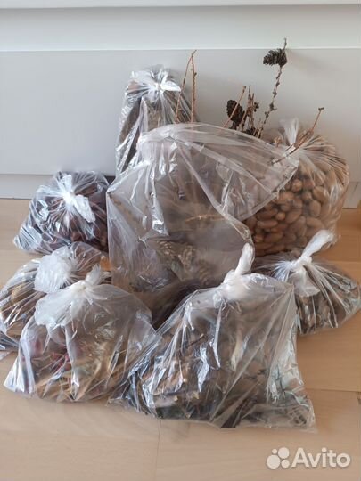 Природные материалы для творчества