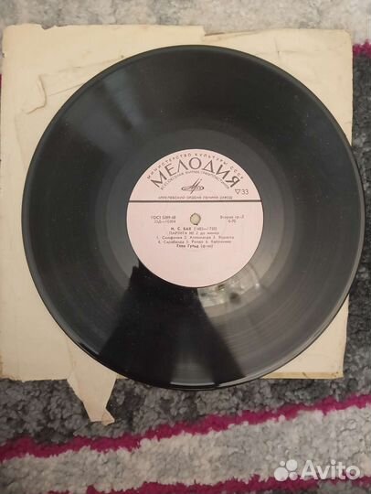 Виниловые пластинки