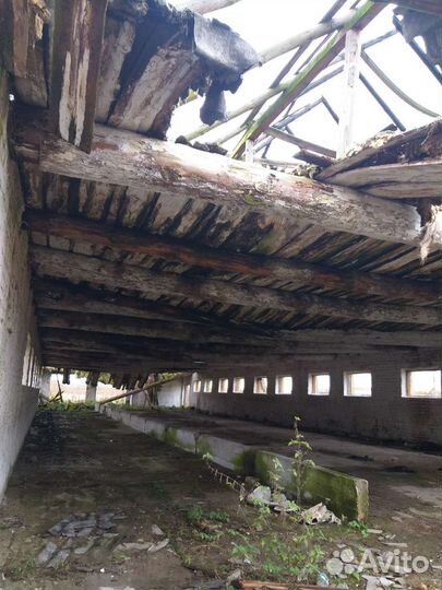 Выкуп ферм на разбор Чувашия