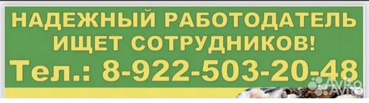 Снежински