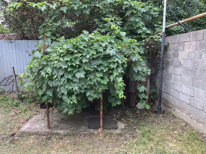 Дом 22,3 м² на участке 6 сот.