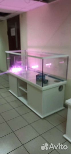 Аквариум 500 для торговли живыми раками, трёх сек