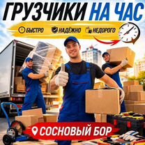 Грузчики, Переезды, Разнарабочие (Сосновы Бор), Сосновый Бор