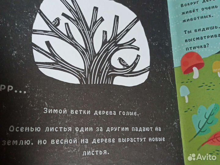 Детская книга. Что скрывает яблоня