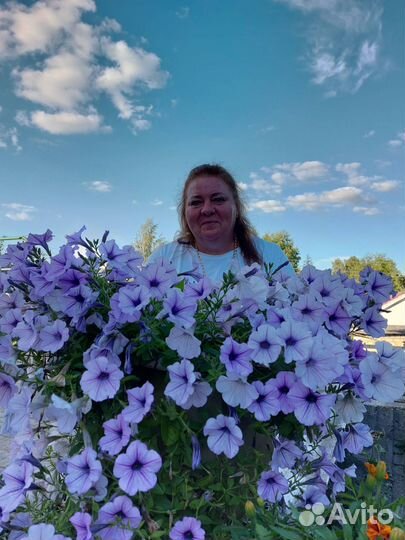 Подготовка детей к школе