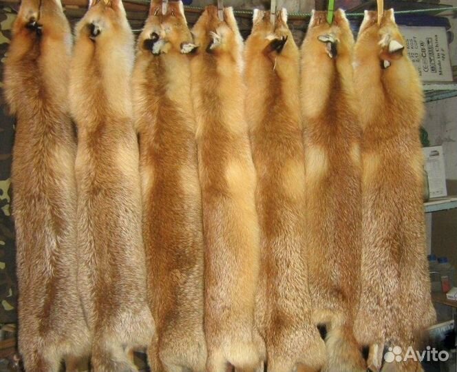 Выделка пушнины