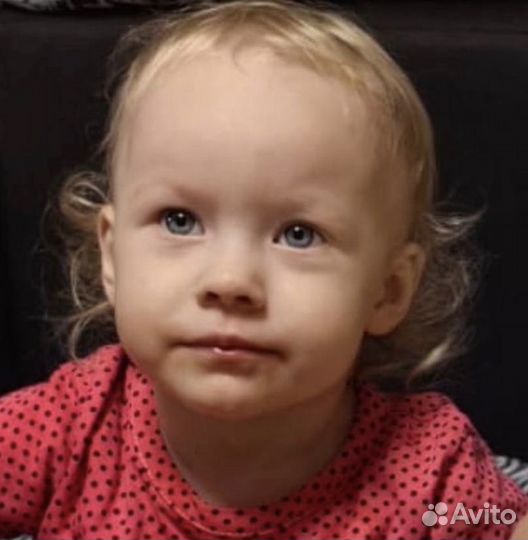 Петуния кустовая 50р -опт от 100шт