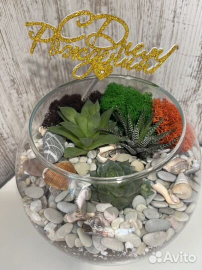 Флорариум на заказ
