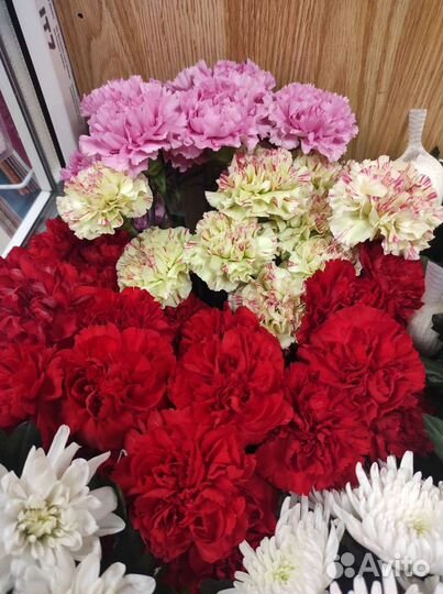 Гвоздика красная и цветная