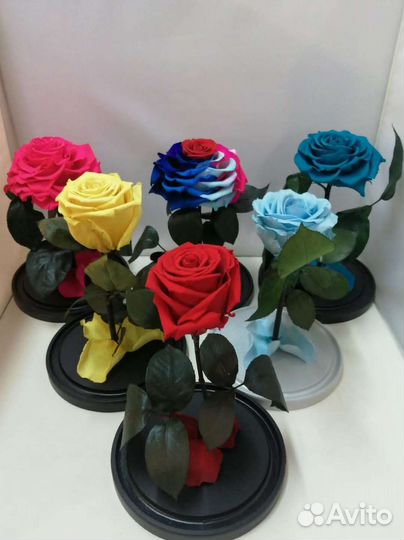 Цветы оптом