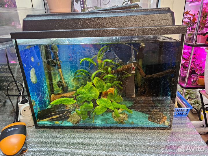 Аквариум