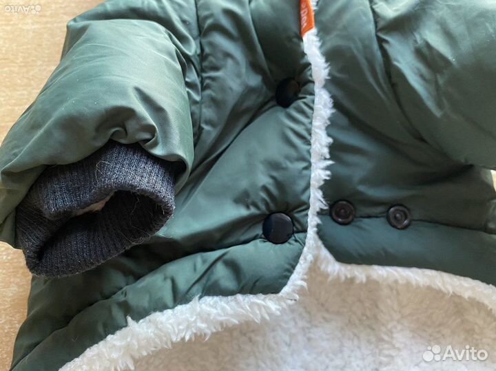 Одежда для собаки