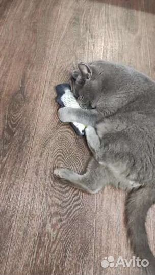 Игрушка для кошки 