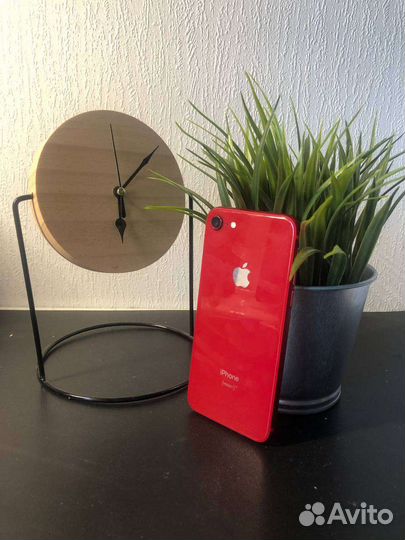 iPhone 8 red 64