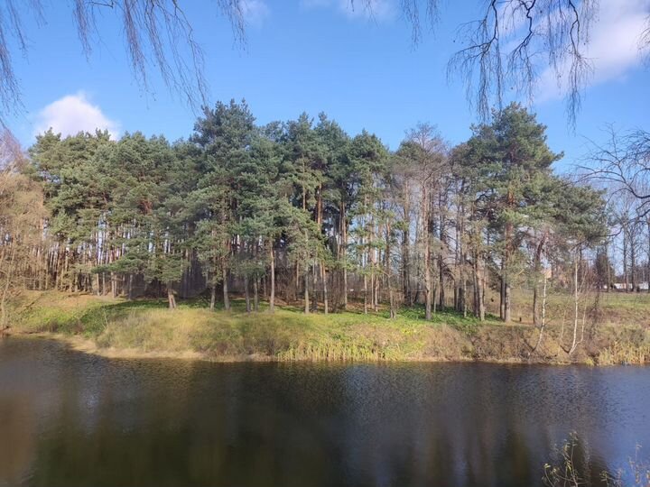 Участок 6,5 сот. (ИЖС)