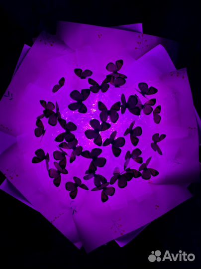 Букет из бабочек