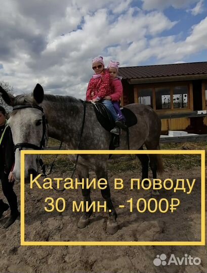 Катание на лошадях, занятия, фотосессии