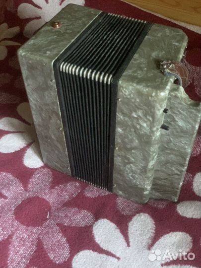 Гармонь чайка 2