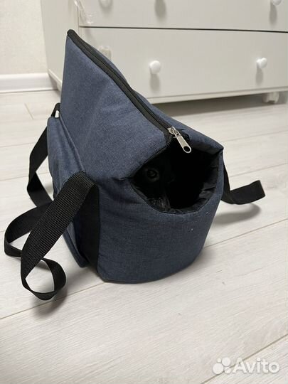 Сумка для собак