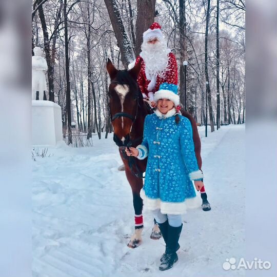 Дед Мороз и Снегурочка на лошадях