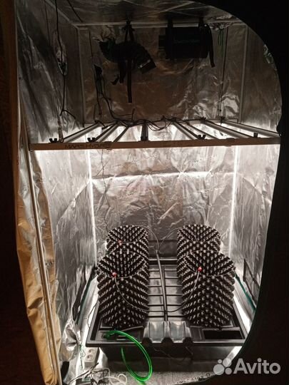 Готовый гроубокс