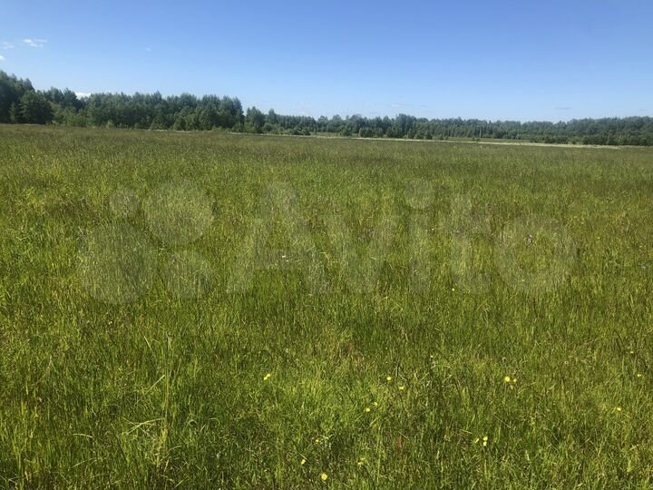 Участок 5 га (ИЖС)