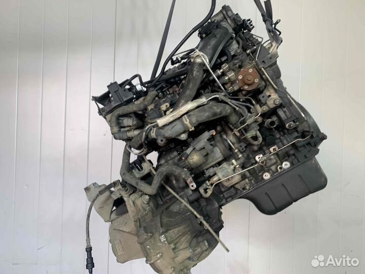 Двигатель Ford Focus ngda; 1921104; 1853559; CV6Q6