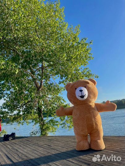 Ростовой Мишка Тедди