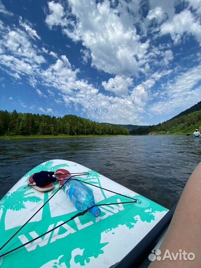 Аренда прокат сапбордов