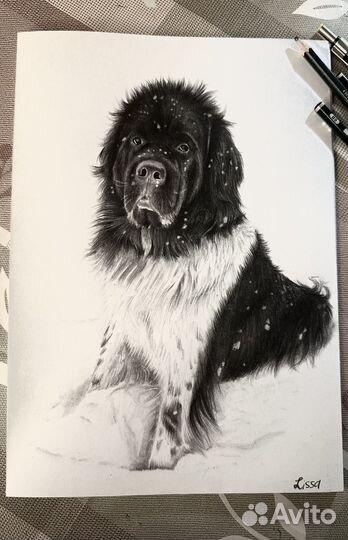 Портрет питомца на заказ