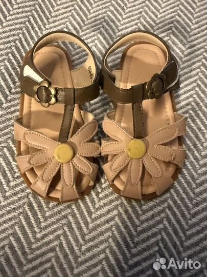 Сандалии Backstreet pig