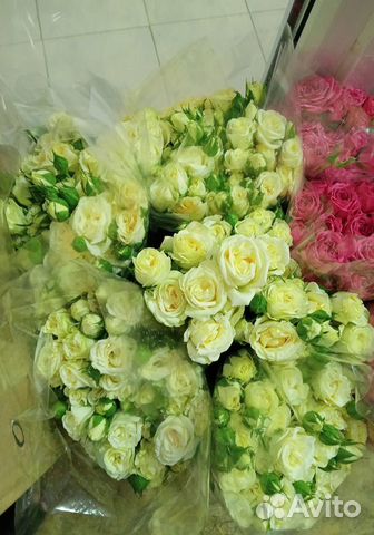 Букет роз/Букет 101 роза/Подарок