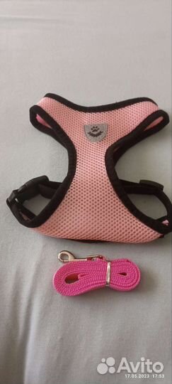 Шлейка для собаки