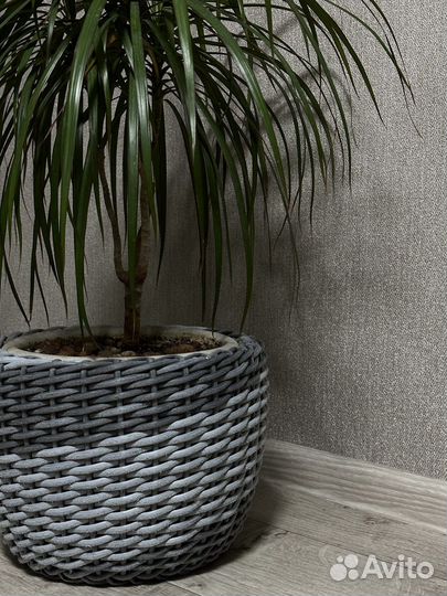 Кашпо из ротанга