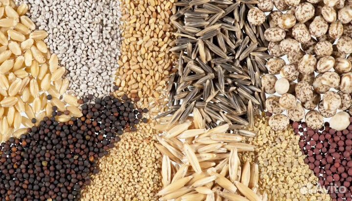 Свои семена овощей, зелени, цветов в ассортименте