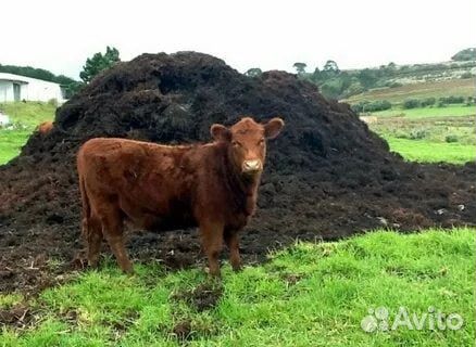 Перегной удобрение