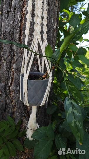Иакоаме подвес кашпо для цветов