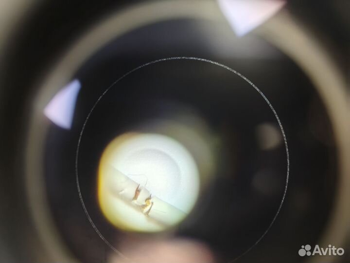 Наушники apple earpods 3.5 мм