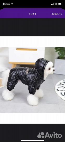 Комбинезон для собаки