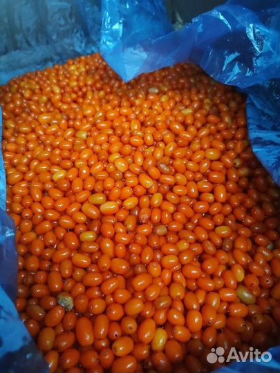 Облепиха отборная крупная шоковая заморозка