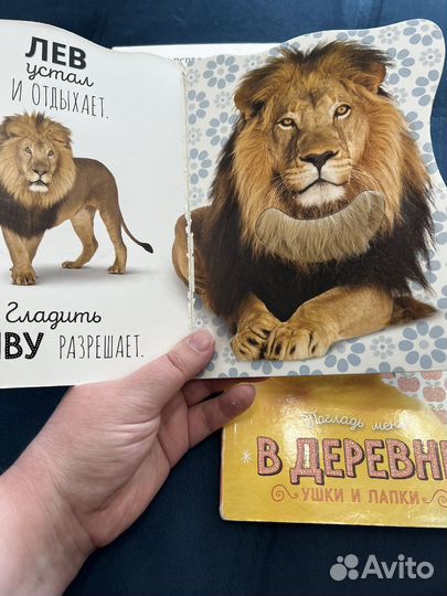 Цена за все. Комплeкт книг для малышей