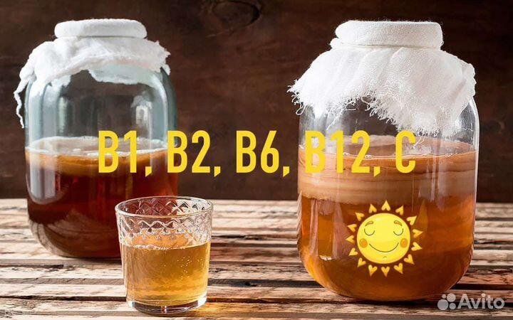 Чайный гриб