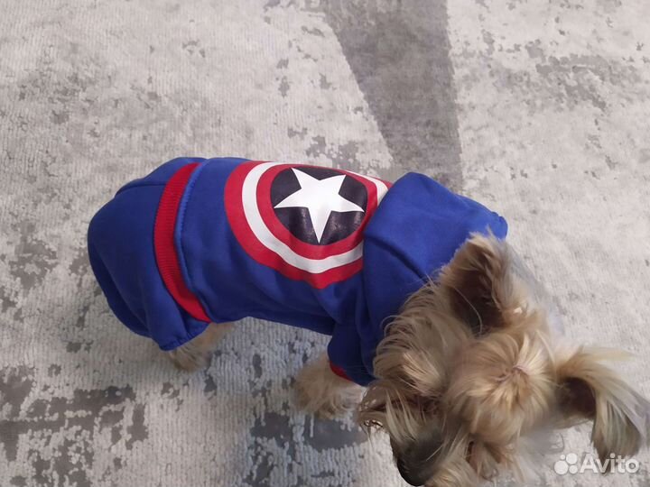 Комбинезон для маленькой собаки/ одежда для собаки