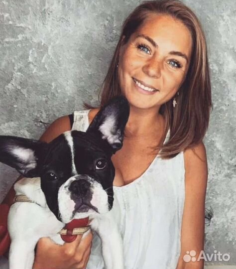 Догситтер передержка собак прогулки с собаками