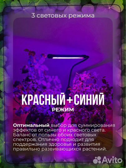 Фитолампа для растений на прищепке