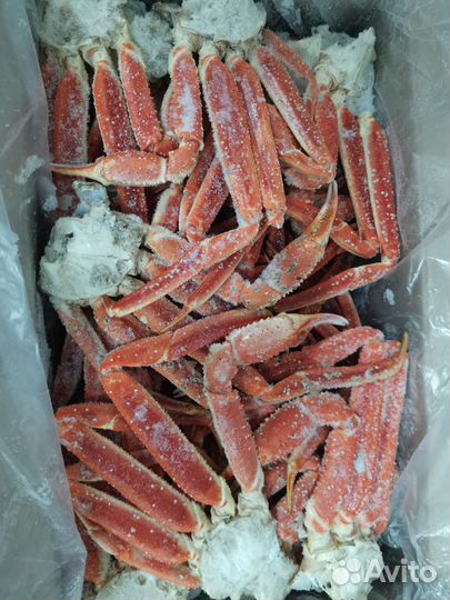 Краб Стригун клешни