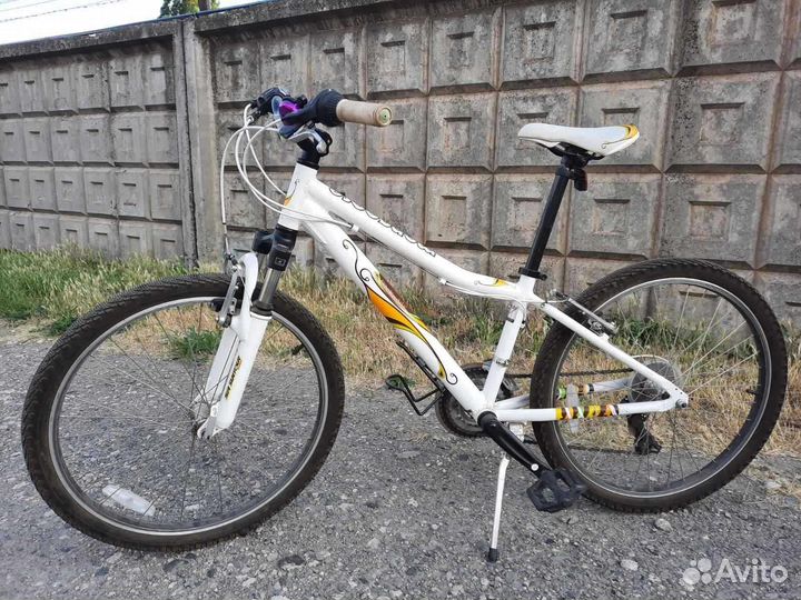 Mongoose rockadile 24