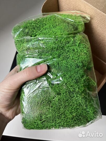 Стабилизированный мох 100 грамм