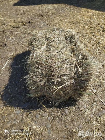 Сено и солома